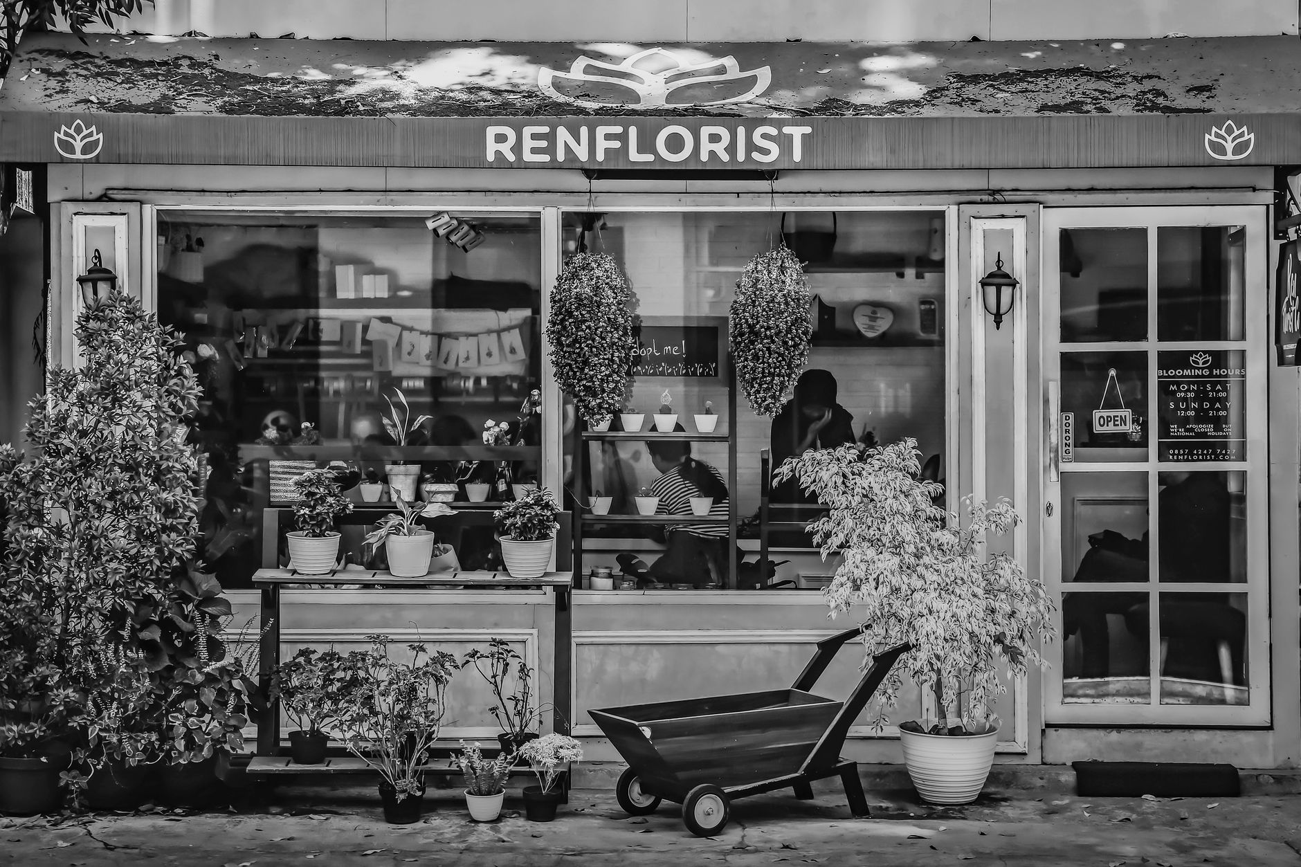 Fleuriste à Thiers
